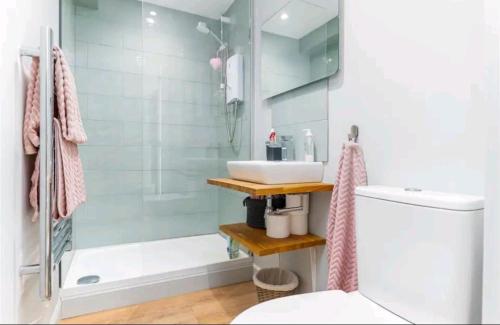 埃文河畔斯特拉特福The Annex, Stratford Upon-Avon的带淋浴、盥洗盆和卫生间的浴室