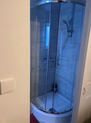 特尔福德Telford Guest House 1的浴室里设有玻璃门淋浴