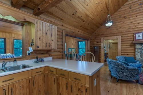 ColumbusSkyview Cabin的小木屋内的厨房,配有水槽