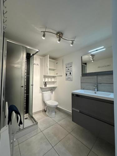 绍莱Charmant Duplex en Centre-ville Proche du Puy-du-fouu的一间带卫生间、水槽和镜子的浴室