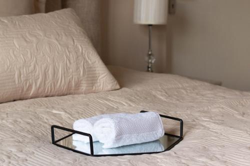 Lafrenz TownshipABGS AIR BnB 2 Bedroom Apartment的床上的毛巾托盘