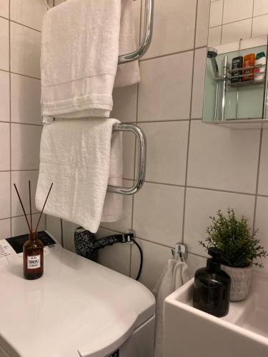 奥斯陆Oslo central by Florin的浴室的墙壁上挂着白色毛巾