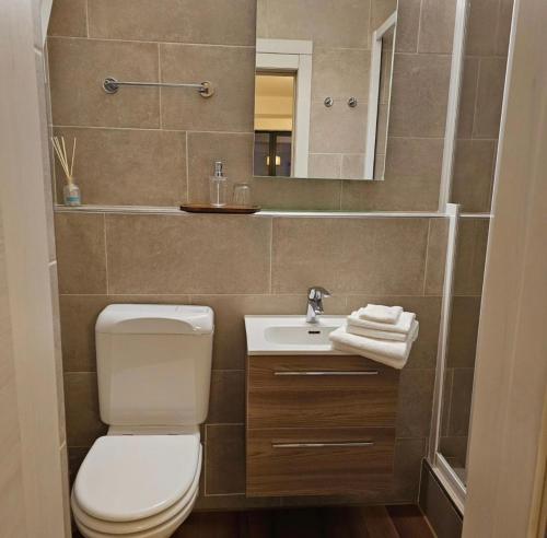 帕拉迪索Lugano CASA NOSTRA guesthouse的一间带卫生间、水槽和镜子的浴室