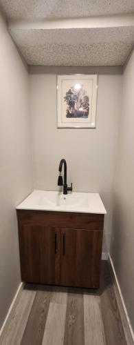 温尼伯New Stylish 2-Bedroom Basement Suite的一间带水槽的浴室和墙上的照片