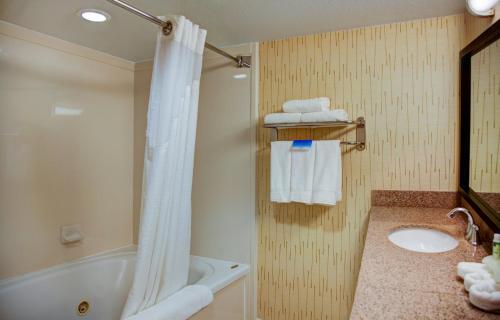 泰勒南泰勒快捷假日酒店的带淋浴、盥洗盆和浴缸的浴室