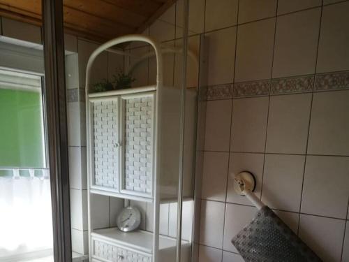 维岑豪森Antonia Modern retreat的一间位于客房内的带橱柜和淋浴的浴室