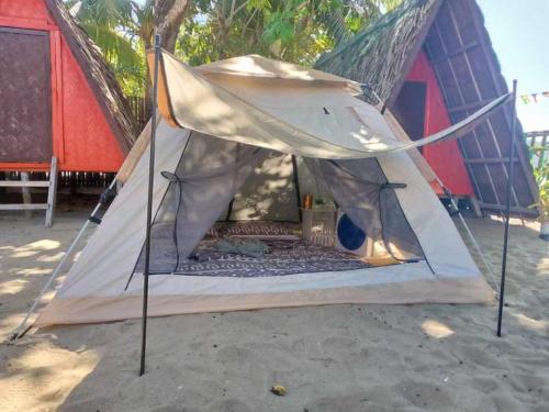 爱妮岛SHALOM CAMP的海滩上的帐篷