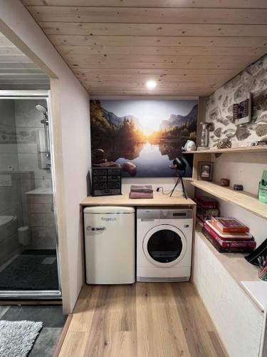 迪沃讷莱班Studio l’Atelier des rêves的配有绘画的浴室内的洗衣机和烘干机