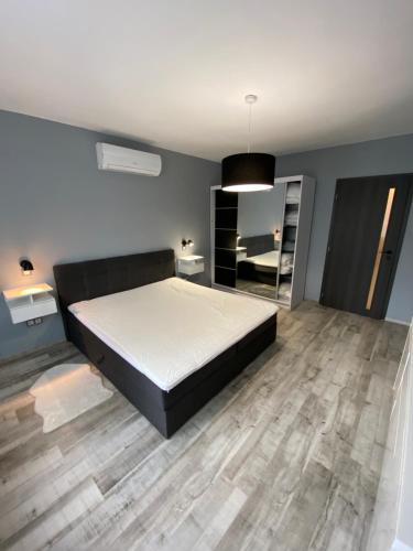 霍德梅泽瓦沙海伊Janka11 Apartman的一间卧室设有一张大床,铺有木地板