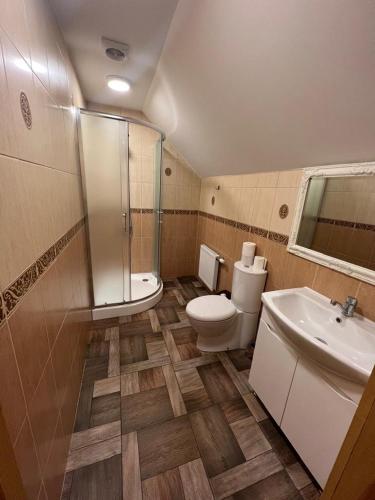 VecstāmerienaAtpūtas komplekss Sonāte的浴室配有卫生间、淋浴和盥洗盆。