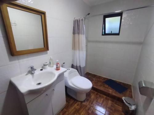 瓦尔迪维亚Chalet Valdivia的一间带水槽、卫生间和镜子的浴室