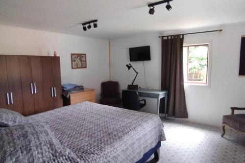 瓦尔迪维亚Chalet Valdivia的一间卧室配有一张床、一张书桌和一个窗户。