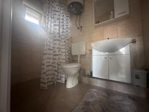 StolacCuprija _apartments的一间带卫生间和水槽的浴室