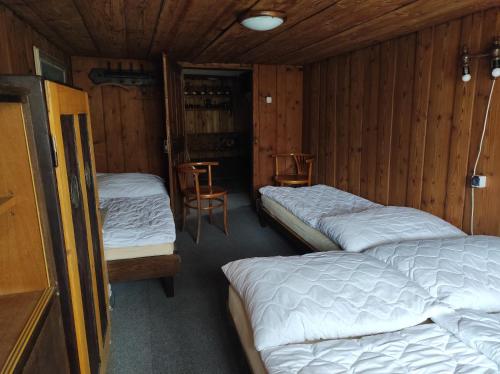 奥尔利采河畔乌斯季Chaloupka Králíky的木墙客房的两张床