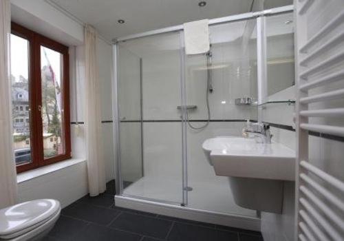 拉罗谢特Auberge Bleech的带淋浴、盥洗盆和卫生间的浴室