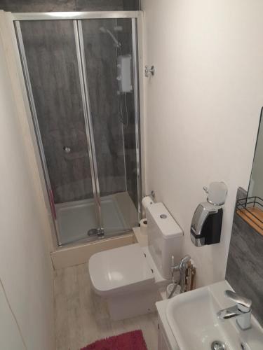 斯旺西SINGLETON SHORT STAYS R8的带淋浴、卫生间和盥洗盆的浴室