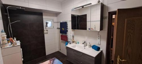 莱比锡wohnen bei Goethes的一间带水槽和淋浴的小浴室