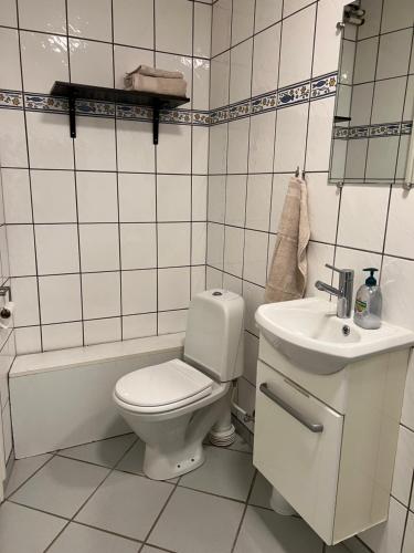 奥本罗Apartment with Wifi, close to city center, Beach and forrest的白色的浴室设有卫生间和水槽。