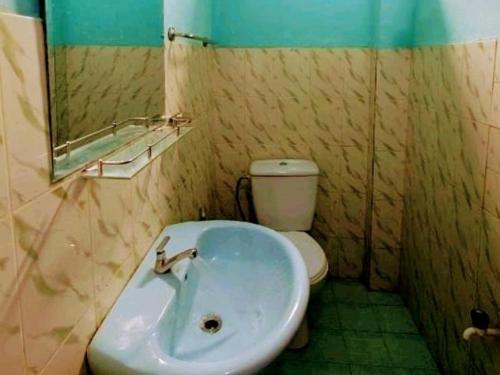 基图尔格勒kithulgala Green Rafting Hotel的一间带水槽和卫生间的浴室