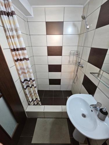 百乐费利克斯卡梅纳旅馆的一间带水槽和淋浴的浴室
