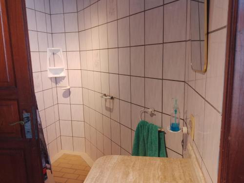 蒙得维的亚Montevideo Hostel的带淋浴和绿毛巾的浴室