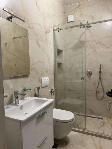 都拉斯VILA Eljus的带淋浴、卫生间和盥洗盆的浴室