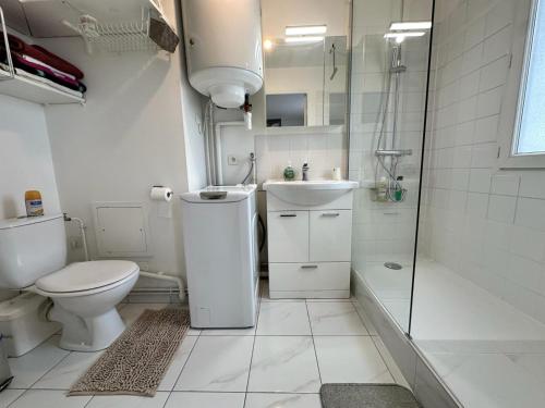 奥贝维利埃Chez Daniel, un 2 pièces proche de Paris STADE de FRANCE的浴室配有卫生间、盥洗盆和淋浴。