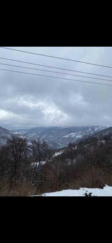 弗拉西纳里德ANN III的享有雪覆盖的山丘和电线的景色