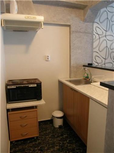 希萨里亚Apartment Bulgaria的一间带水槽和微波炉的小厨房