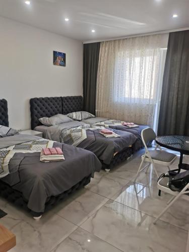 里巴斯卡班亚Apartman Aleksandar 1的一间卧室配有两张床和一张桌子及椅子