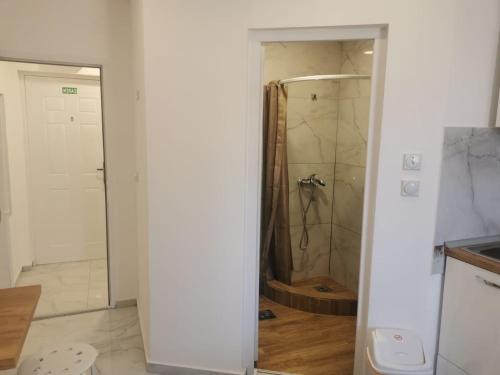 Apartman Aleksandar 2的一间浴室