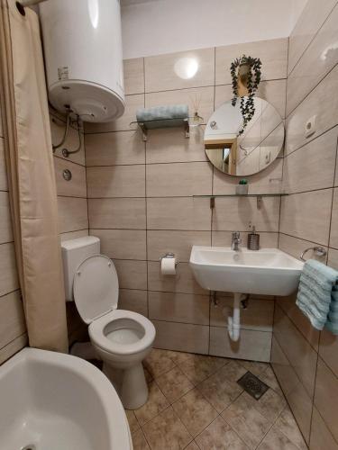 科托尔阿尼塔旅馆的一间带卫生间和水槽的浴室
