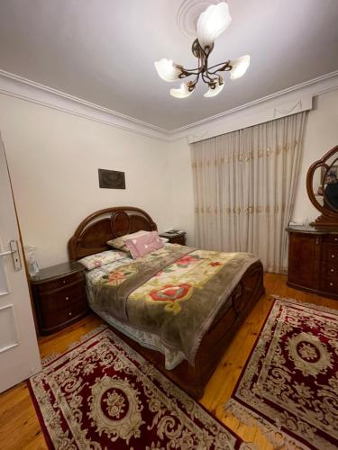 亚历山大Lovely apartment 2的一间卧室配有一张床和两块地毯