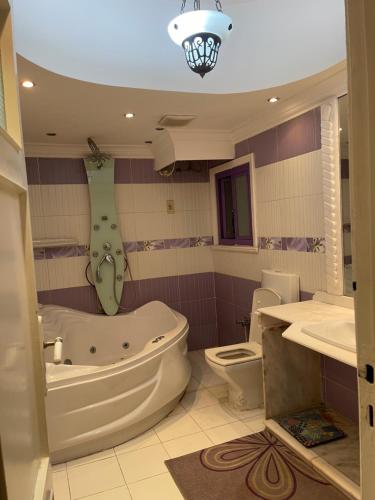 亚历山大Lovely apartment 2的带浴缸、卫生间和盥洗盆的浴室