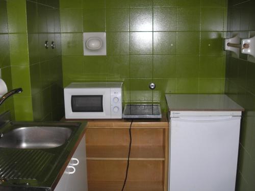 龙基德伊莱焦纳里道奇旅馆的一间带水槽和微波炉的小厨房