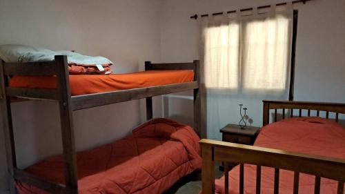 圣卡洛斯La casa Roja的一间卧室设有两张双层床和一扇窗户。