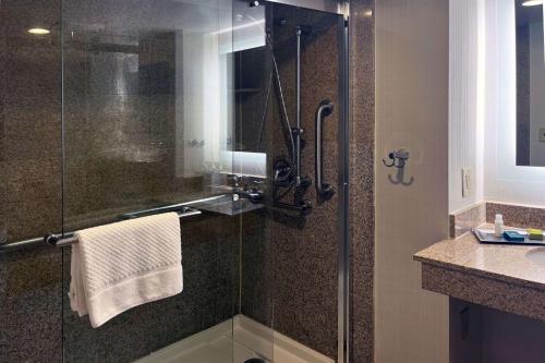 奥卡拉希尔顿奥卡拉酒店的带淋浴的浴室和玻璃门