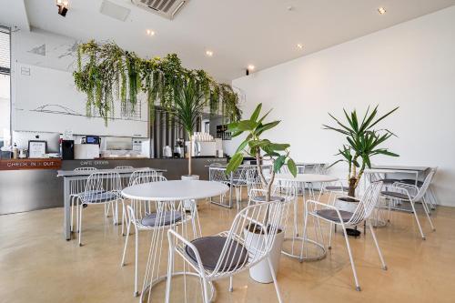 束草市Stay Hostel的一间设有白色桌椅的餐厅,种植了植物