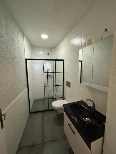 NilüferMy Blue Butik Hotel的浴室配有卫生间、盥洗盆和淋浴。