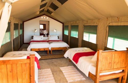 Hakusembe River Camping2Go的一间带四张床的卧室,位于带窗户的客房内