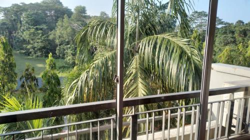 新加坡Property King的从棕榈树度假村的阳台可以欣赏到风景