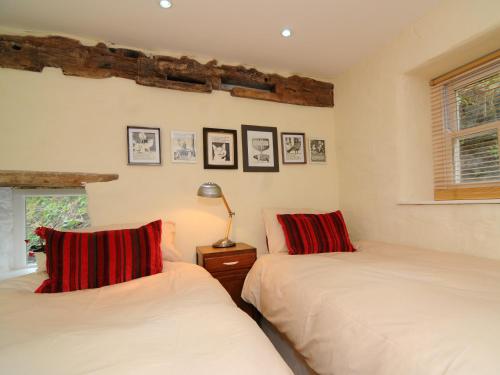 LlanilarThe Old Mill Devils Bridge的一间卧室配有两张带红色枕头的床