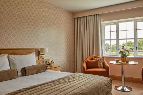 比尔County Arms Birr的酒店的客房 - 带一张床、椅子和窗户