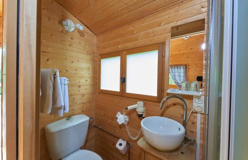 Obersteinbach阿尔萨斯村酒店的浴室配有白色卫生间和盥洗盆。