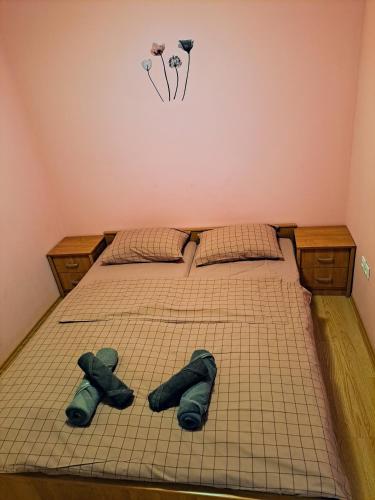 布雷日采Hiša Palček的一间卧室配有一张床,上面有两张双层床