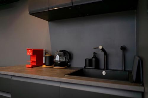 Zebras MuižaZEBRUS RESORT的厨房柜台配有水槽和咖啡壶
