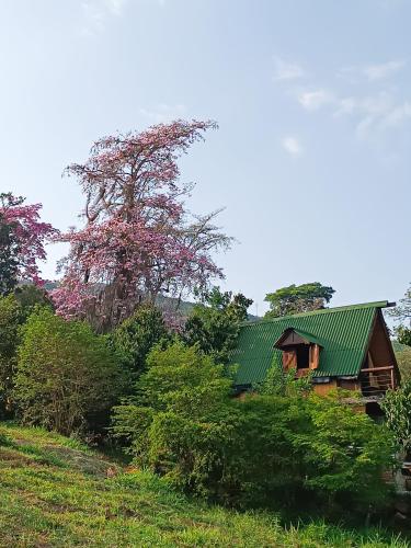 库里蒂Glamping el nido的山丘上带绿色屋顶的房子