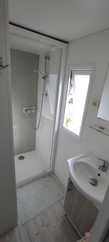 雷日卡普费雷Franck's tiny house的带淋浴和盥洗盆的浴室