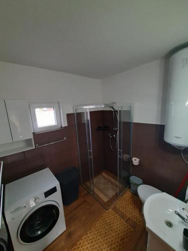 Sub CetateMountain Cozy Home的带淋浴和洗衣机的浴室