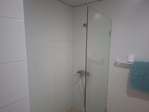 璜多里奥Appartamento Martinic Juan Dolio fronte mare的浴室里设有玻璃门淋浴